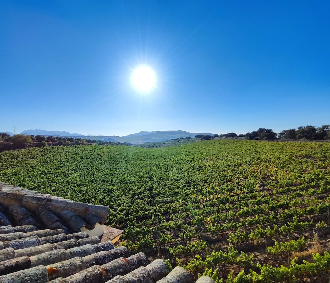 Bodega Doña Felisa - Finca Chinchilla 1
